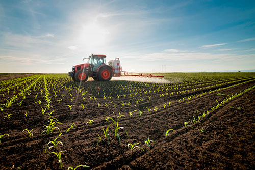 Agro cresce em comercialização, mas gastos faz PIB do setor ter queda, diz levantamento do IBPT