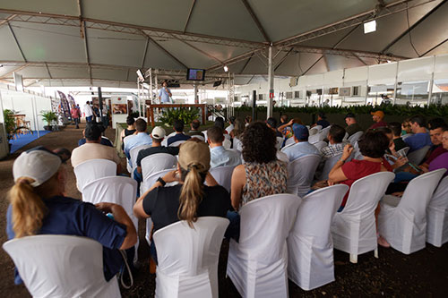 3º Icafest em Ibiraci promete imersão no mundo do café com oficinas, palestras e workshops gratuitos