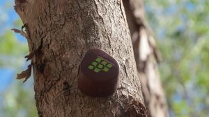 Melhoramentos inova com sistema de monitoramento e inventário florestal com Inteligência Artificial e Internet das Coisas