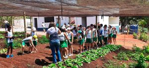Cerca de 1.200 pessoas participam de ações ambientais na RHI Magnesita