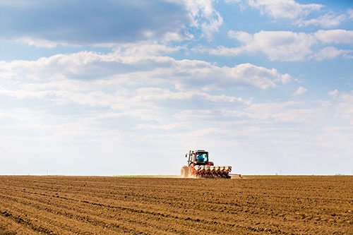 Falta de chuvas obriga muito produtor a rever estratégias de plantio