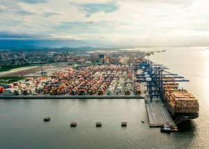 TCP espera aumento nos embarques de algodão mato-grossense por Paranaguá