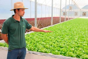 Dia do Engenheiro Agrônomo: inovar a profissão é possível e necessário