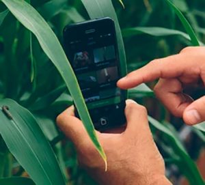 Com foco na Experiência do Usuário, ADAMA moderniza app de proteção de cultivos e alcança mais de 100 mil downloads