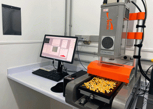 Método é capaz de detectar micotoxina diretamente nos grãos de milho