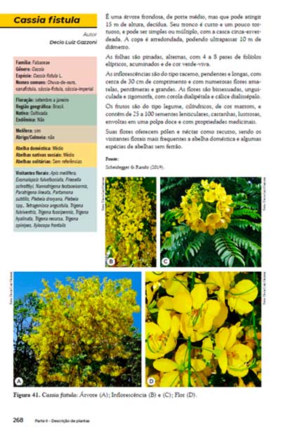 Plantas que os polinizadores gostam