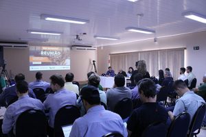 Safra de trigo em São Paulo sofre com instabilidade climática e encerra 2024 com volume menor