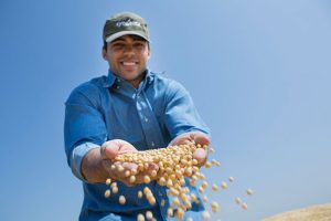 Syngenta amplia seu portfólio de biológicos com o lançamento do fungicida biológico REVERB®