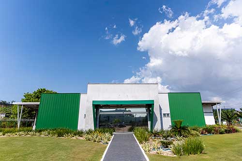 Agropalma amplia investimento em inovação e prevê produzir 2 milhões de mudas clonais de palma por ano a partir de 2026