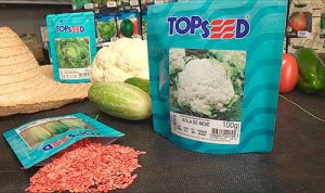 Topseed: 60 anos contribuindo com a evolução da agricultura brasileira