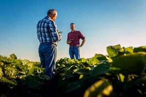 Agrofriday da Orbia permite compra e pagamento de insumos com condições especiais, além de resgate de benefícios em oportunidade única