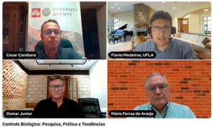 Controle Biológico: Pesquisa, Prática e Tendências foi tema da live promovida pelo Clube illy do Café