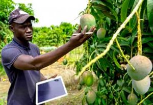 Inovar no Brasil é navegar em um mar indomável