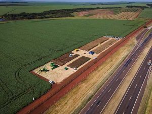 Parceria entre InEdita Bio e Shull Seeds busca desenvolver milho que utilize menos fertilizantes nitrogenados