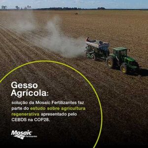 Gesso agrícola é estratégico para recuperar solo após período de queimadas