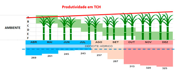 A IRRIGAÇÃO SE FAZ NAS CHUVAS