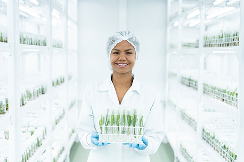 Agropalma amplia investimento em inovação e prevê produzir 2 milhões de mudas clonais de palma por ano a partir de 2026