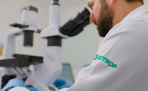 Cadeia da bioenergia acelera uso de produtos biológicos com foco na produção sustentável