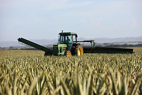 Entenda a importância da lubrificação correta de máquinas e equipamentos agrícolas