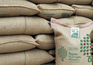 Região do Cerrado Mineiro avança no mercado global com leilão virtual