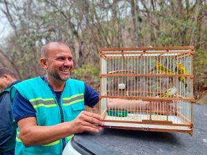 RHI Magnesita celebra a libertação de 47 pássaros na Serra das Éguas