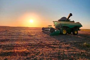 ACP Bioenergia consolidada como uma das maiores e melhores do setor