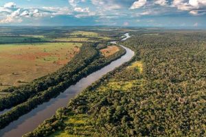 AGCO Agriculture Foundation e The Nature Conservancy Brasil firmam parceria para ajudar agricultores na região do Cerrado a adotar práticas da agricultura regenerativa