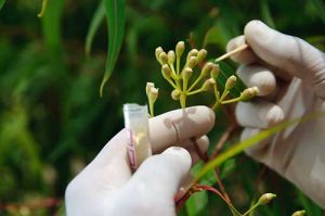Aperam BioEnergia lança nova página comercial com foco em soluções sustentáveis