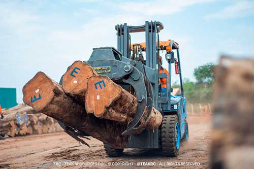 Brado e TRC levam madeira pela primeira vez por nova rota de Mato Grosso a Itaguaí (RJ)