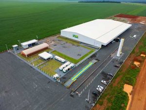 Boa Safra expande atuação e investimentos em Mato Grosso