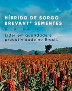 Corteva Agriscience leva aos agricultores paranaenses inovações em sementes, defensivos químicos e biológicos