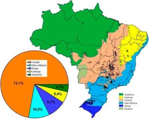 Oeste baiano supera Minas Gerais e se torna o maior polo de irrigação do Brasil