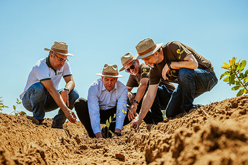 Galvani Investe em Energia Verde para um Futuro Sustentável