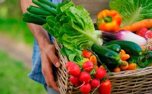 Mais Alimentos fecha o ano com crescimento recorde e avanços na agricultura familiar