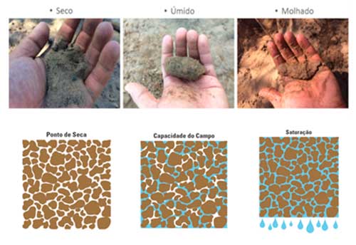 O manejo integrado de irrigação (ou manejo integrado de água)