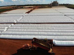 Safra recorde de soja expõe gargalos no Brasil