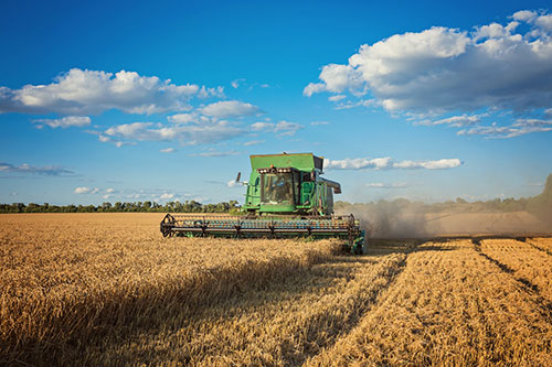 Agronegócio desponta como motor importante para o setor de franquias no Brasil
