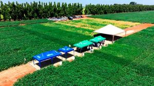 SEEDCORP I HO cresce mais de 15 vezes no Sul do País em seis anos, saindo de 70 mil para mais de 1 milhão de sacos de soja vendidos