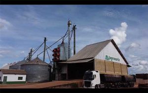 Agronorte planeja investir em armazém de grãos e fábrica de rações no Tocantins para atender à crescente necessidade no Norte e Nordeste