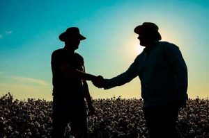 BASF consolida oferta de soluções financeiras ao agricultor brasileiro