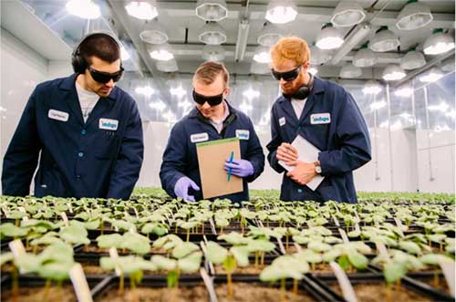 As perspectivas para o agro em 2025, rumo à COP do Brasil