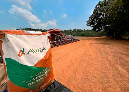  Nova marca: Avra chega ao mercado para oferecer sementes de soja premium para o Cerrado