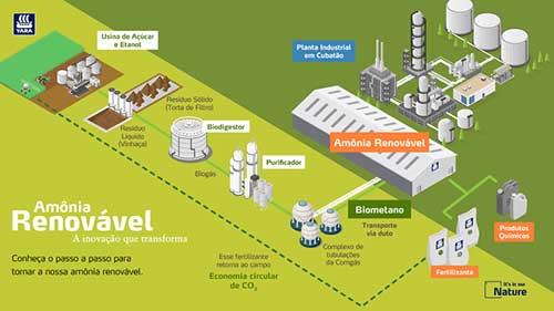 Yara inicia produção da primeira amônia renovável do Brasil