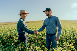 Pressão nos preços da soja reforça Barter como estratégia para o produtor