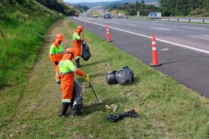 Mais de 240 toneladas de resíduos são recolhidas às margens das rodovias concedidas