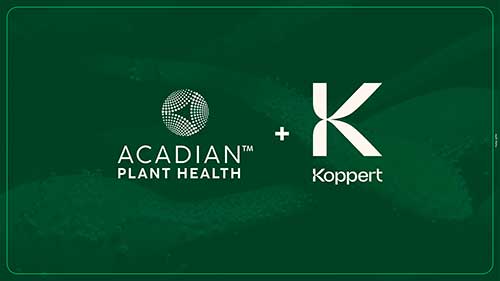 Acadian Plant Health e Koppert expandem parceria para impulsionar agricultura sustentável