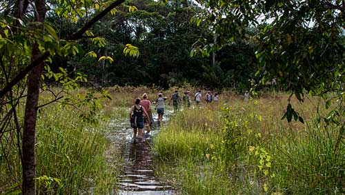 Agropalma apoia PPBio-AmOr em prol da pesquisa e conservação da biodiversidade na Amazônia