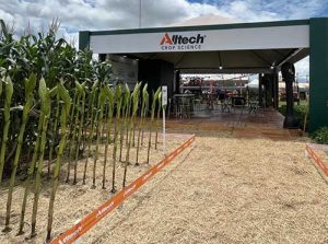 Novas soluções naturais para agricultura favorecem produtividades acima da média