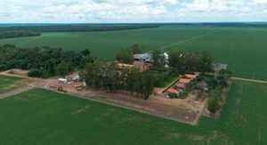 Abertura Nacional da Colheita da Safra de Soja 24/25 será em Mato Grosso