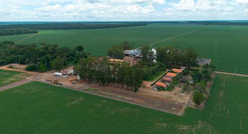 Abertura Nacional da Colheita da Safra de Soja 24/25 será em Mato Grosso